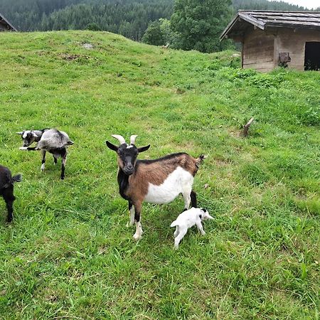 Pension Stammerhof Schladming Luaran gambar