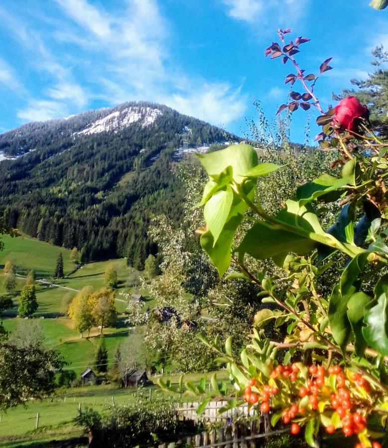 Pension Stammerhof Schladming Luaran gambar