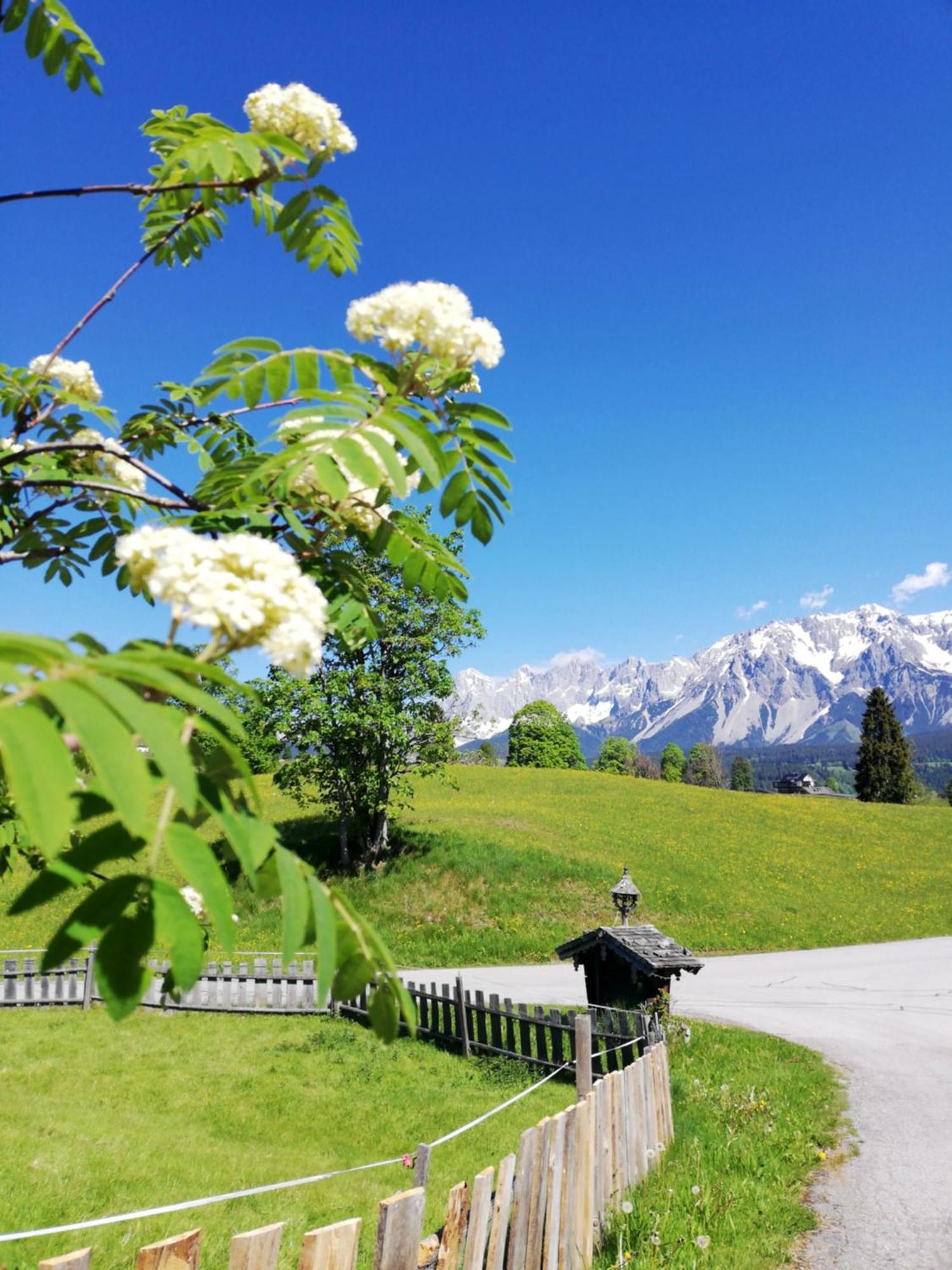Pension Stammerhof Schladming Luaran gambar