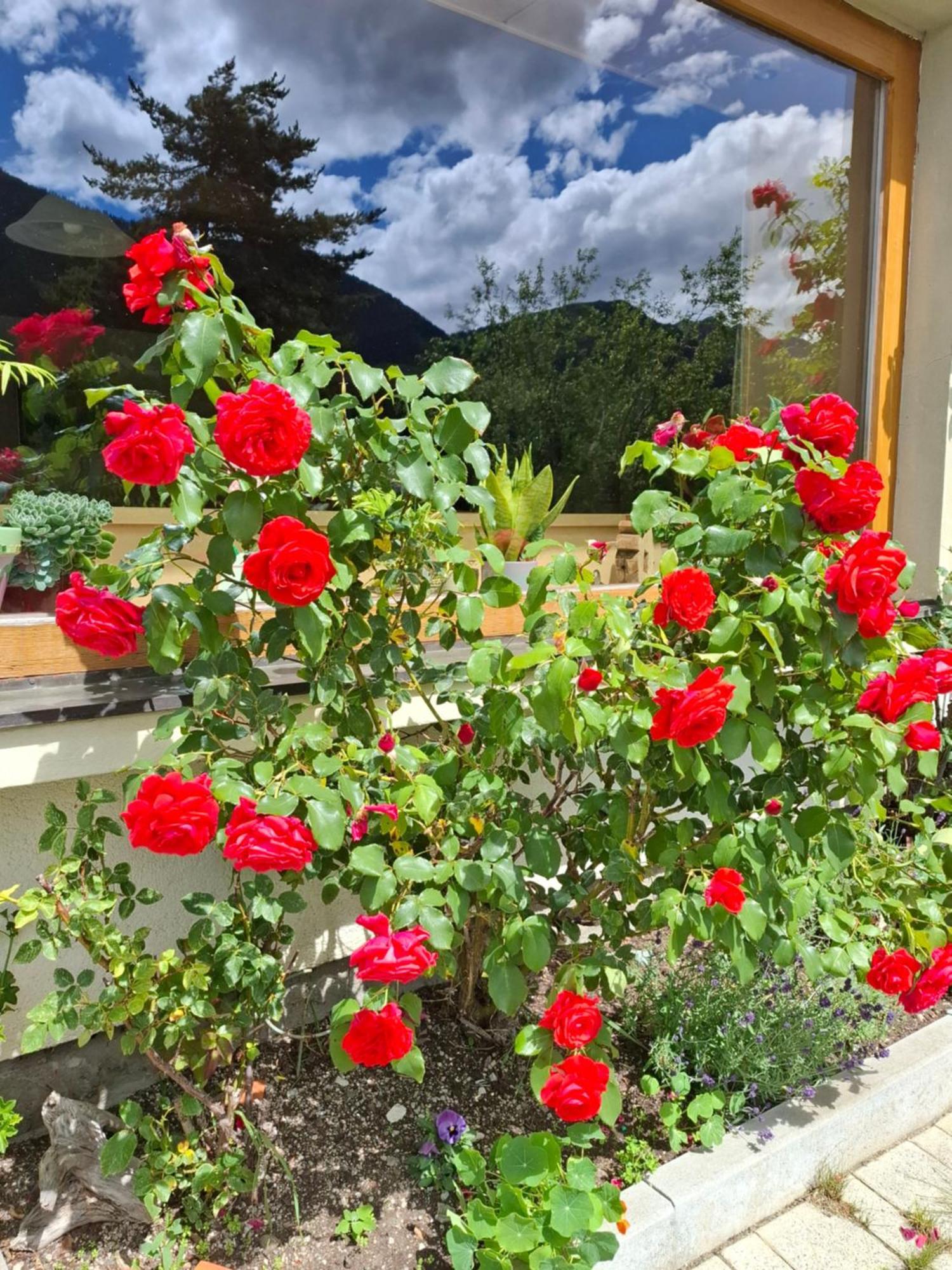 Pension Stammerhof Schladming Luaran gambar