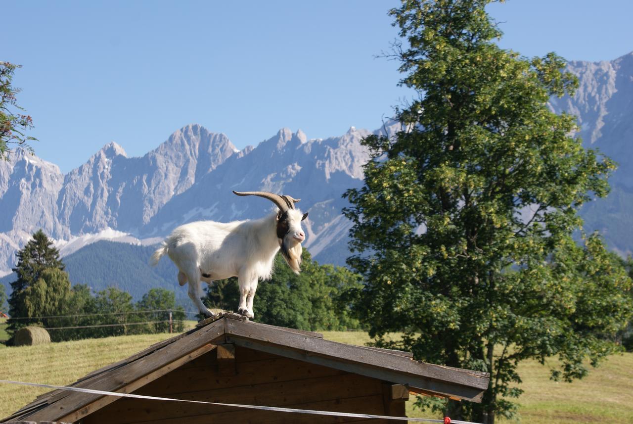 Pension Stammerhof Schladming Luaran gambar