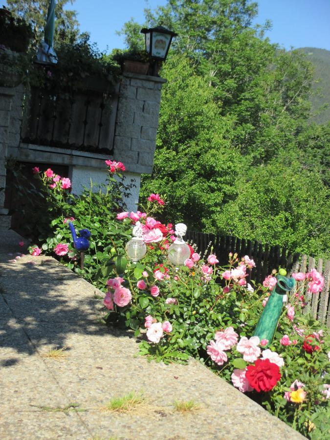 Pension Stammerhof Schladming Luaran gambar