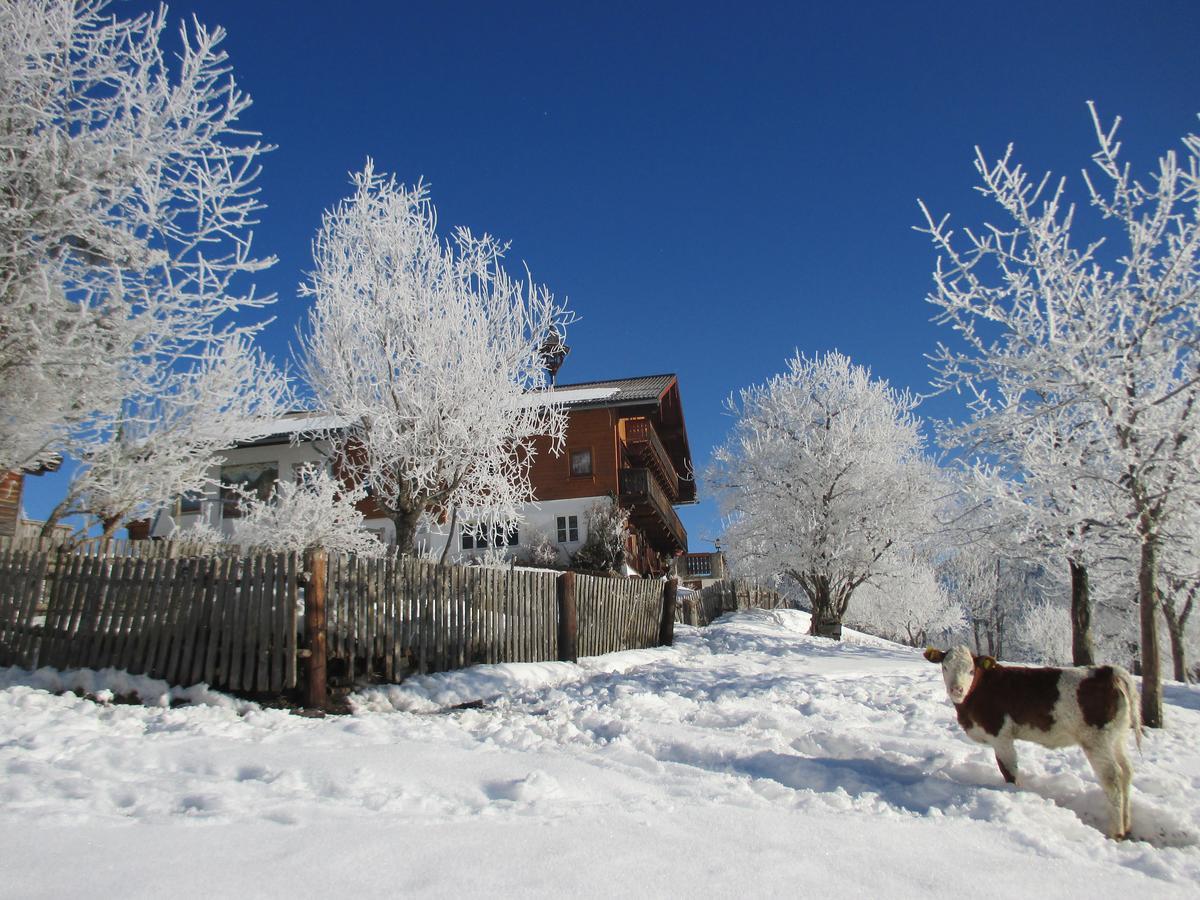 Pension Stammerhof Schladming Luaran gambar